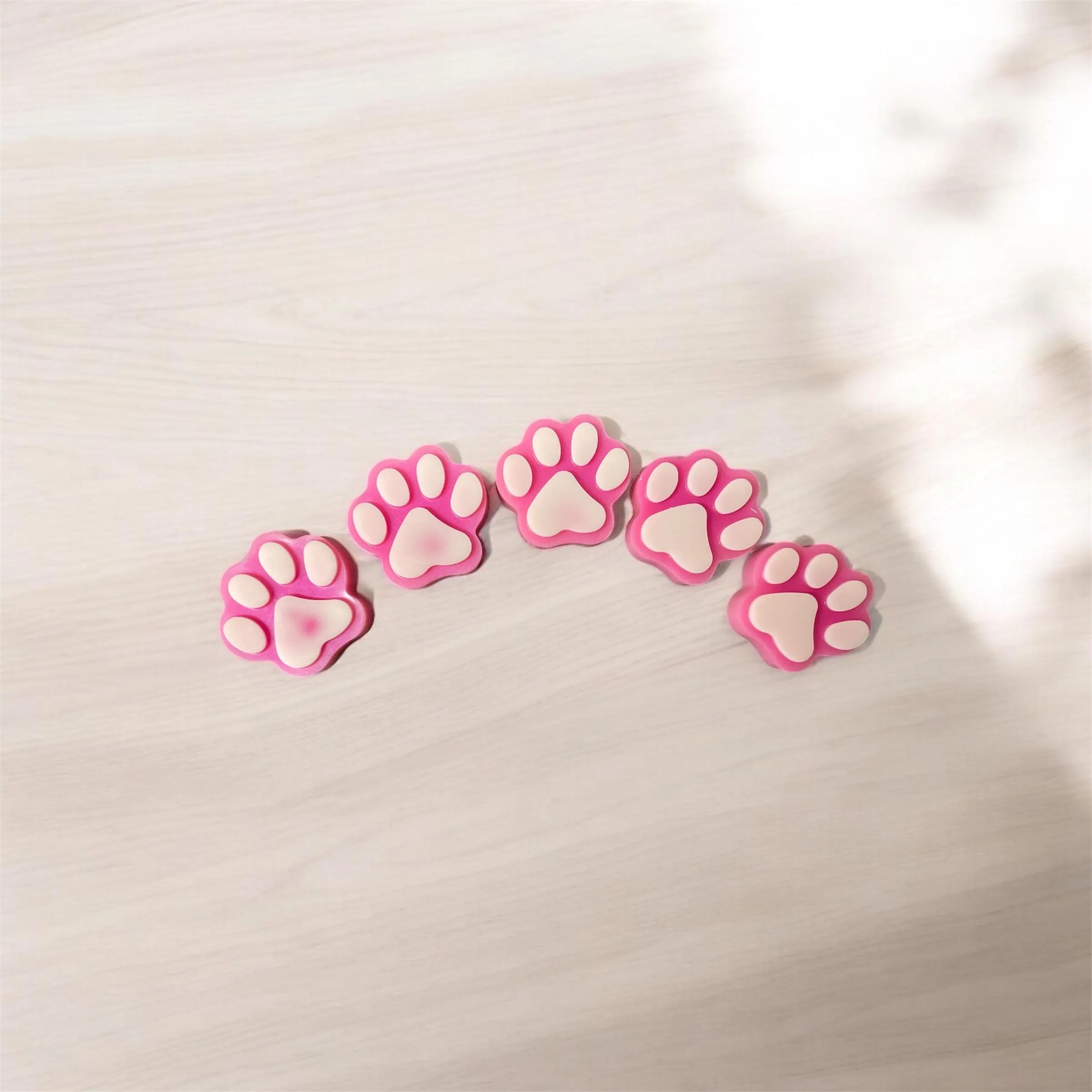 Paw Prints X6 - Image 4